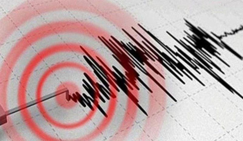 Japonya'da 6,6 büyüklüğünde deprem: 9 yaralı