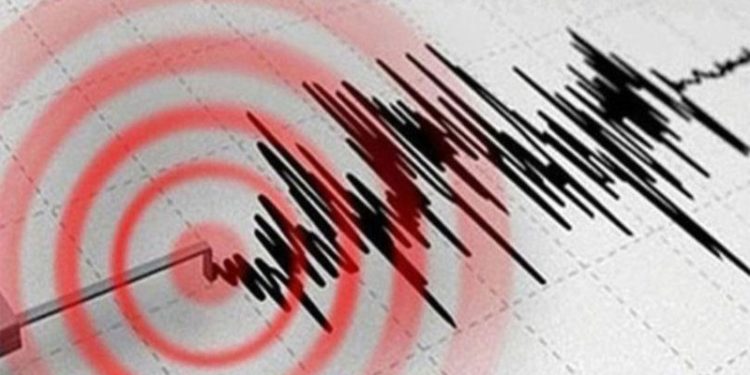Japonya'da 6,6 büyüklüğünde deprem: 9 yaralı
