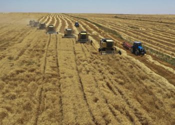 'Kendi buğdayımızı dahi yurt dışından temin etmek durumunda kalıyoruz' tezi maalesef ger&ccedil;ekleşiyor