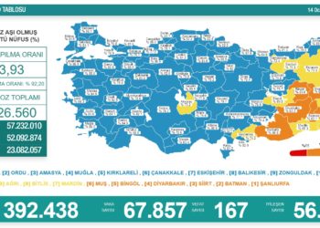 Koronavirüsten 167 kişi hayatını kaybetti