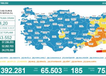 Koronavirüsten 185 kişi hayatını kaybetti