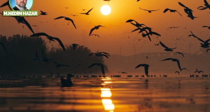 Kutlu turnikeye giriş!