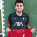 Liverpool, Luis Diaz'ı kadrosuna kattı