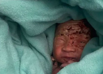 Mauritius Havayolları uçağının tuvaletinde yeni doğmuş bebek bulundu