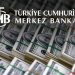 Merkez Bankası'nın 1 ay vadeli TL uzlaşmalı döviz satım ihalesine 300 bin dolarlık teklif