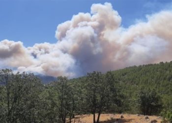 Mersin ve Ankara'da bazı alanlar orman sınırları dışına çıkartıldı