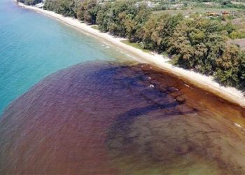 Petrol sızıntısı ülkeyi alarma geçirdi