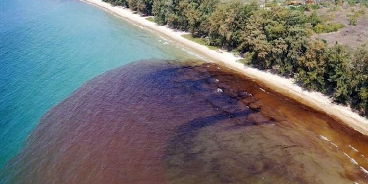 Petrol sızıntısı ülkeyi alarma geçirdi