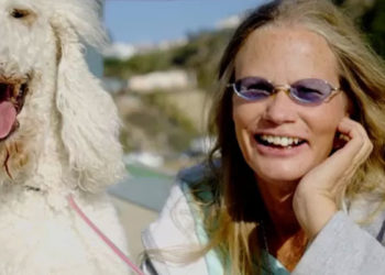 QAnon: ABD'yi şeytana tapan ve çocuk ticareti yapan elitlerin yönettiğine inanan hareket