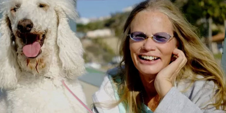 QAnon: ABD'yi şeytana tapan ve çocuk ticareti yapan elitlerin yönettiğine inanan hareket