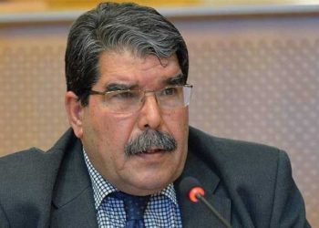 Salih Muslim: IŞİD saldırılarda tek başına değil