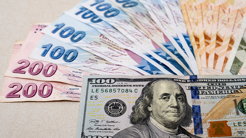 Türk Lirası dolar karşısında yüzde 44 değer kaybetti; 2021'de neler yaşandı?