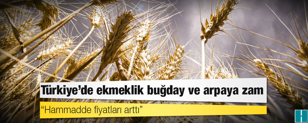 Türkiye'de ekmeklik buğday ve arpaya zam