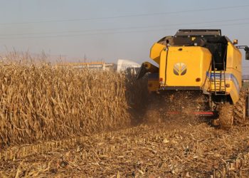 TMO sanayiciye yüzde 1 KDV uygularken çiftçiye yüzde 8: ‘Büyük bir insafsızlıktır’