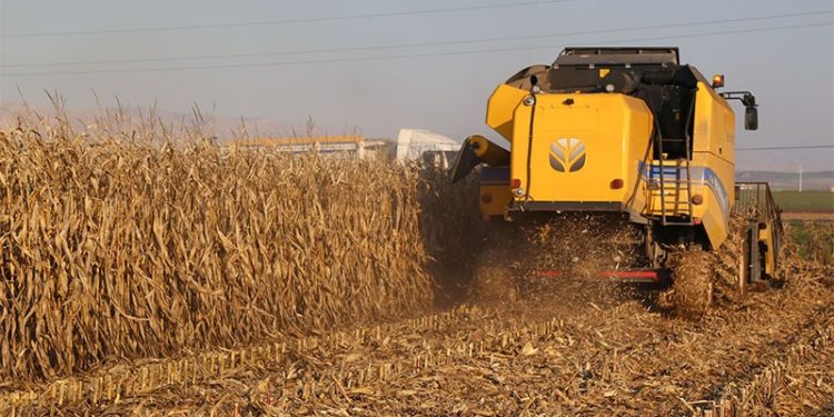 TMO sanayiciye yüzde 1 KDV uygularken çiftçiye yüzde 8: ‘Büyük bir insafsızlıktır’
