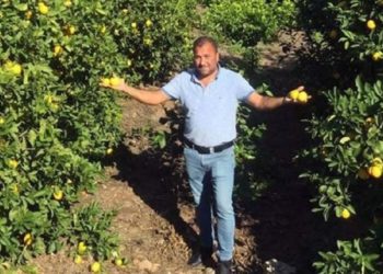 Tarihin en kötü dönemi: 450 bin ton limonu bedavaya alan yok!