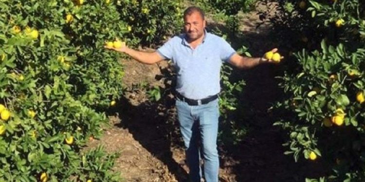 Tarihin en kötü dönemi: 450 bin ton limonu bedavaya alan yok!