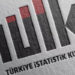 TÜİK, verilerle ilgili eleştiri ve iddialara ne diyor?
