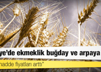 Türkiye'de ekmeklik buğday ve arpaya zam