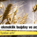 Türkiye'de ekmeklik buğday ve arpaya zam