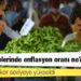 Türkiye’de rekor seviyeye yükseldi: Avrupa ülkelerinde enflasyon oranı ne?