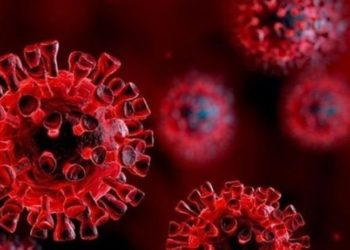 WHO: Eşitsizliği sona erdirirsek, pandemiyi de bitiririz