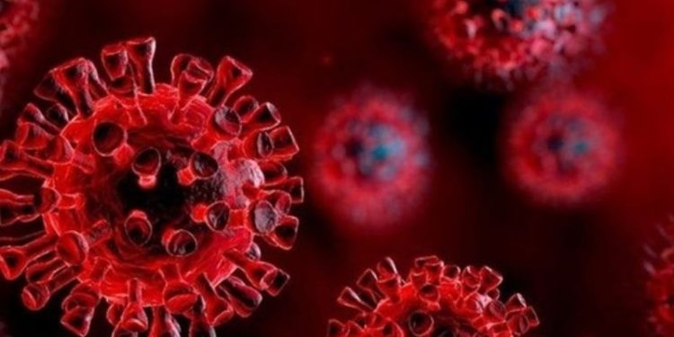 WHO: Eşitsizliği sona erdirirsek, pandemiyi de bitiririz