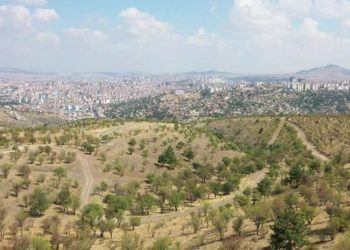 Yargı’dan, Atatürk Orman Çiftliği’nin askeri alan olarak yapılaşmaya açılmasına 'dur' kararı