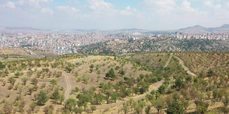 Yargı’dan, Atatürk Orman Çiftliği’nin askeri alan olarak yapılaşmaya açılmasına 'dur' kararı