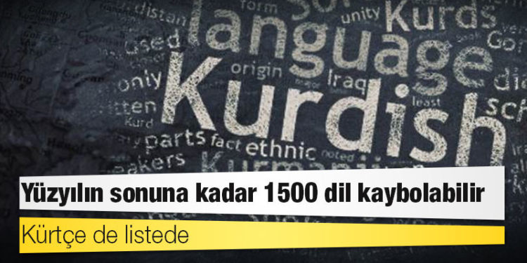 Yüzyılın sonuna kadar 1500 dil kaybolabilir, Kürtçe de listede