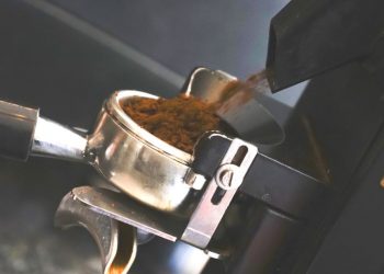 İklim krizi araştırması: Artan sıcaklıklar kilit mahsullerin üretiminde büyük değişikliklere yol açacak