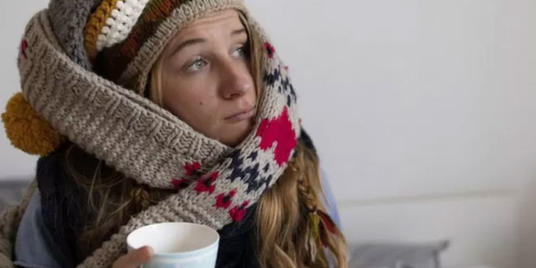 İngiltere'de enerji tasarrufu için evcil hayvanlara sarılmayı öneren enerji firması özür diledi