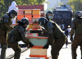 Şili'de eylem yapan arıcılar 10 bin arıyı serbest bıraktı, yedi polisi arı soktu