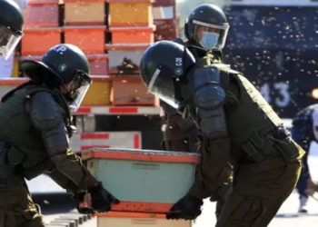 Şili’de arıcılar hükümeti protesto etti, yedi polisi arı soktu