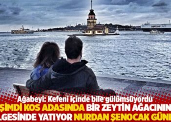 Şimdi Kos adasında bir zeytin ağacının g&ouml;lgesinde yatıyor Nurdan Şenocak G&uuml;nd&uuml;z