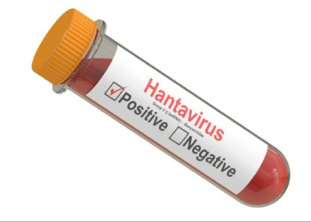 ‘Çin’de kulak ve burundan kan akıtan Hantavirüs’ haberi de yalan çıktı
