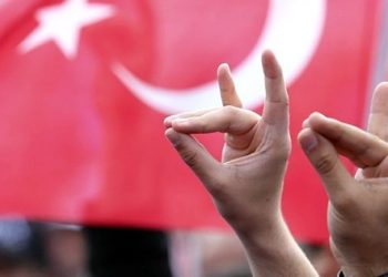 2023 seçimleri: Son anketlere göre MHP’nin oy oranı kaç?