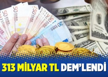 313 milyar TL DEMlendi