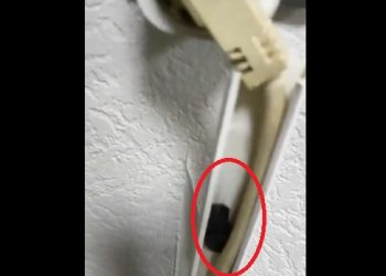 4 avukatın bürosunda dinleme ve takip cihazı bulundu