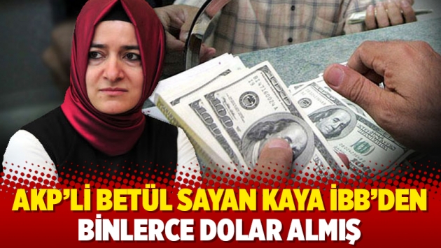 AKP'li Betül Sayan Kaya İBB'den binlerce dolar almış