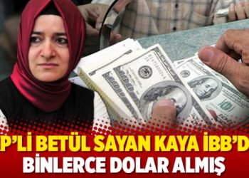 AKP'li Bet&uuml;l Sayan Kaya İBB'den binlerce dolar almış