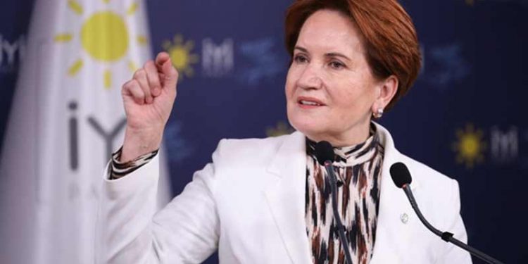 Akşener'den Erdoğan'a 'Tarkan'lı yanıt: Bu ucube sistem, geldiği gibi 'gitçek'; bu çile 'bitçek'
