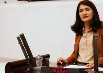 Anayasa Adalet Karma Komisyonu, HDP'li Güzel’in dokunulmazlığının kaldırılmasına karar verdi