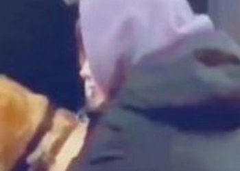 Anonymous, Rus devlet televizyonunu hackleyerek Ukrayna'daki saldırıları yayınladı