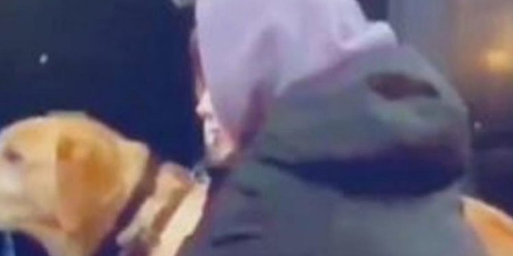 Anonymous, Rus devlet televizyonunu hackleyerek Ukrayna'daki saldırıları yayınladı