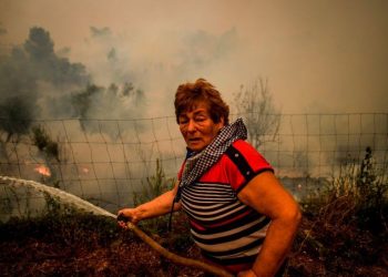 Araştırma: Aşırı sıcaklar tetikliyor; orman yangınları 2050'ye kadar yüzde 30 oranında artabilir