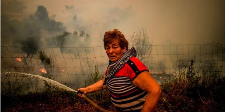 Araştırma: Aşırı sıcaklar tetikliyor; orman yangınları 2050'ye kadar yüzde 30 oranında artabilir