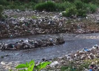 Araştırma: Nehirlere karışan ilaçlar küresel sağlık için risk oluşturuyor