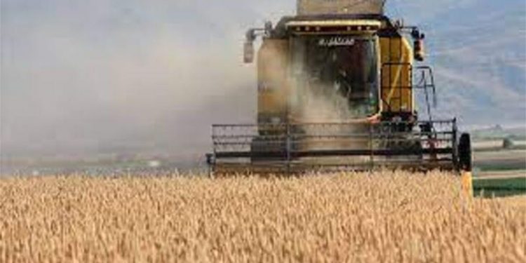 Artan maliyetler altında ezilen çiftçi borç batağında: Tarlasını ‘rehin’ bıraktı