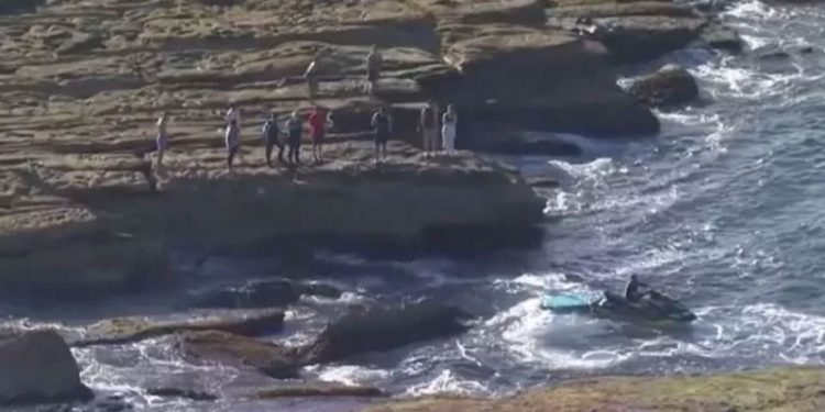 Avustralya'da köpek balığı alarmı: 'Büyük beyaz' önlemleri nasıl aştı?